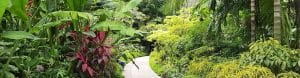 garden with sidewalk
