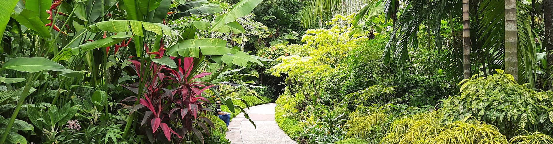 garden with sidewalk