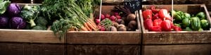 vegetable stands