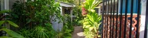 garden grove, representing havaiki oceanic and tribal art gallery