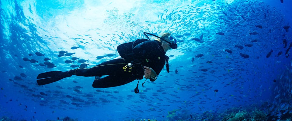 scuba diving